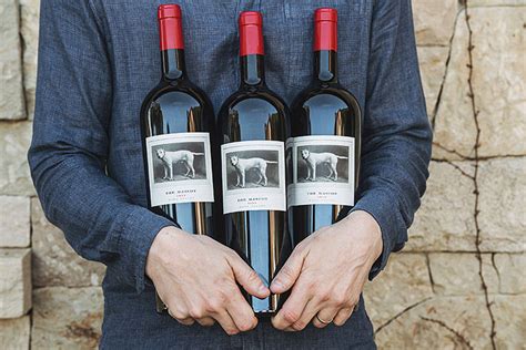 Raising Spirits: The Official Mascot Wine Brings Joy to Fans